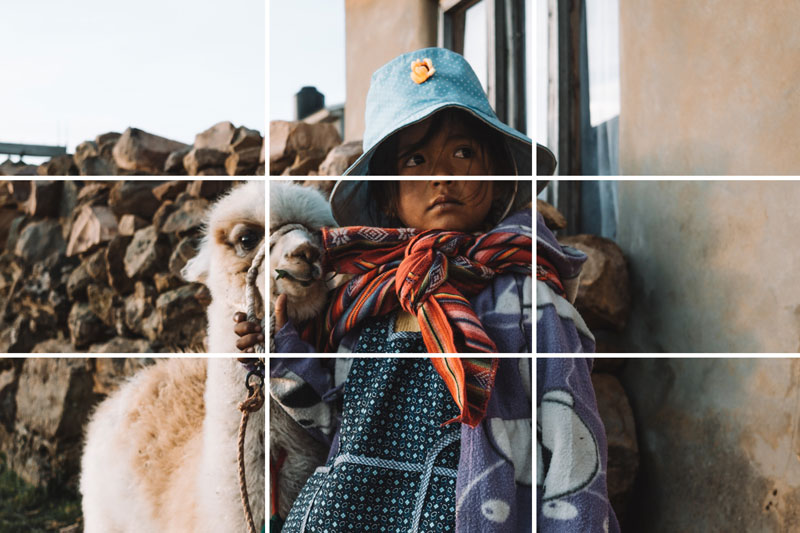 Add the Grid