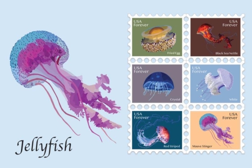 Gabriella Defilippis